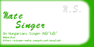 mate singer business card